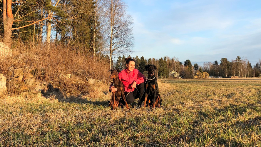 Sovellusasiantuntija Petra Nowak istuu pellon laidalla kahden koiransa kanssa.
